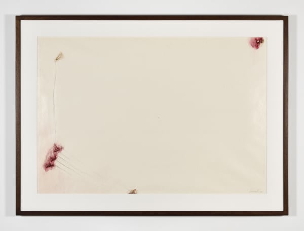 Sans Titre (Flüchtig), 2000