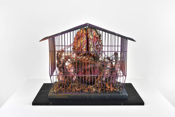 Promenade in the heredity, Chromosome, 1979