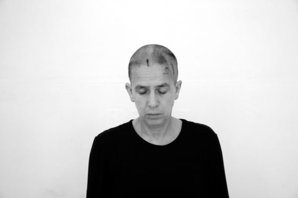 Hélène Delprat, Face, 2011