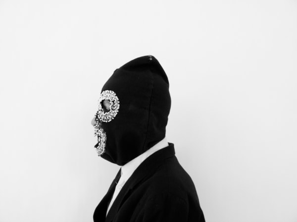 Hélène Delprat, Profil gauche, 2011