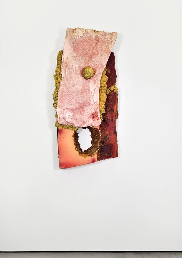 Anita MOLINERO, Sans titre (Croûûûtes), 2018