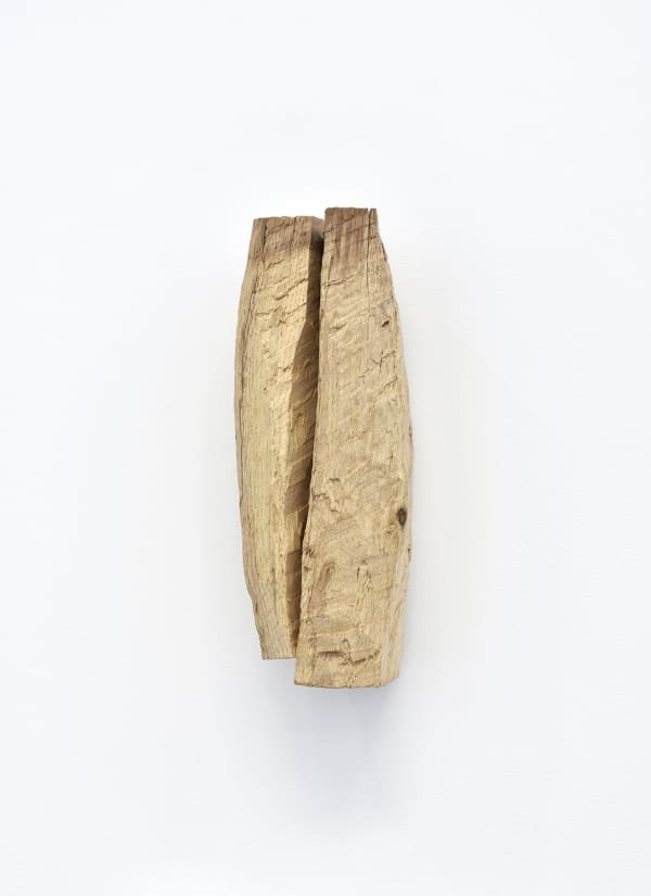 Richard Nonas, Sans titre, 2013