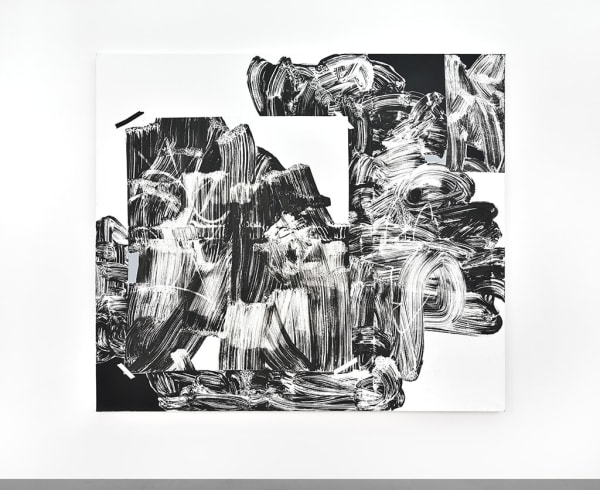 Pablo Tomek, V-Zoom, 2018