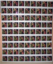 UNGLEE Sans titre Photographie 97,3 x 79,3 cm 38 5/16 x 31 5/16 inches