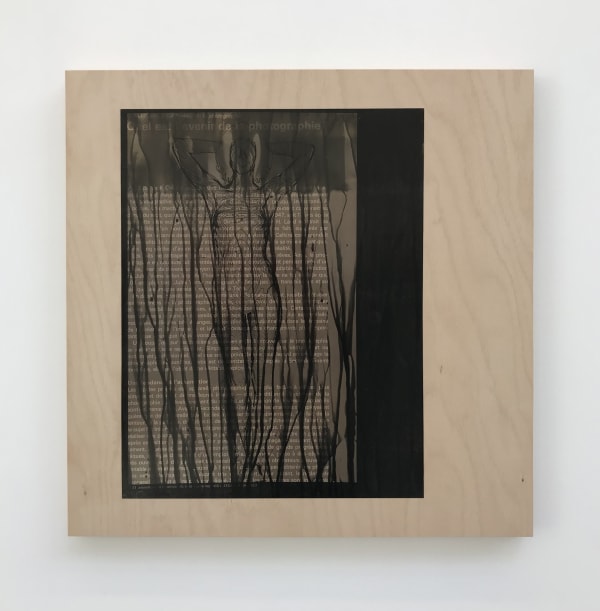 Isabelle Le Minh, Quel est l'avenir de la photographie , 2019