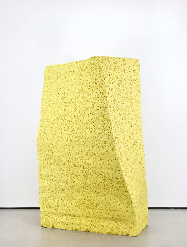 Pablo Tomek, La jaune, 2023