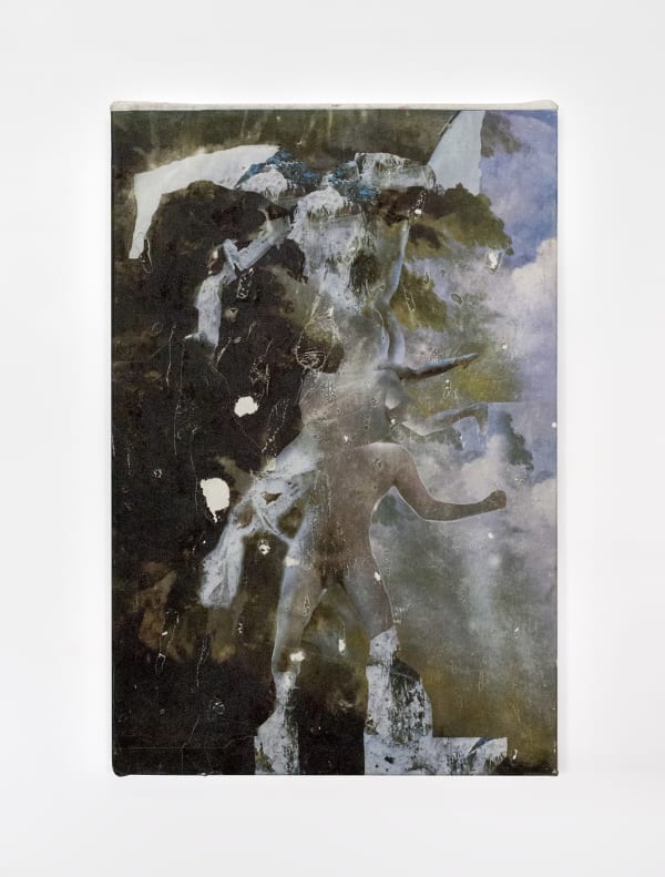 Thibault Hazelzet, Casanova Bragadin Natura 1 , 2020