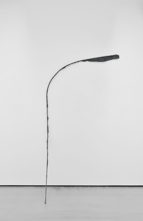 Flag Series (3), 2014
