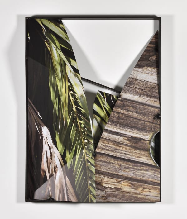 Letha Wilson, Florida Palms Utah Wood Steel, 2021