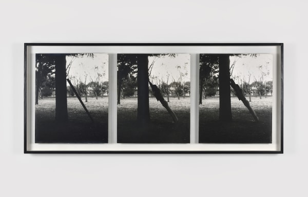 Masaki Nakayama, Identification, 1978