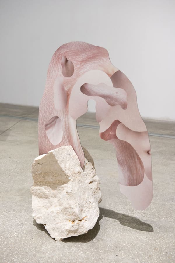 Human Skin In Rock V, 2015