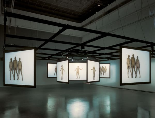 The rite of Spring, 1999-2002