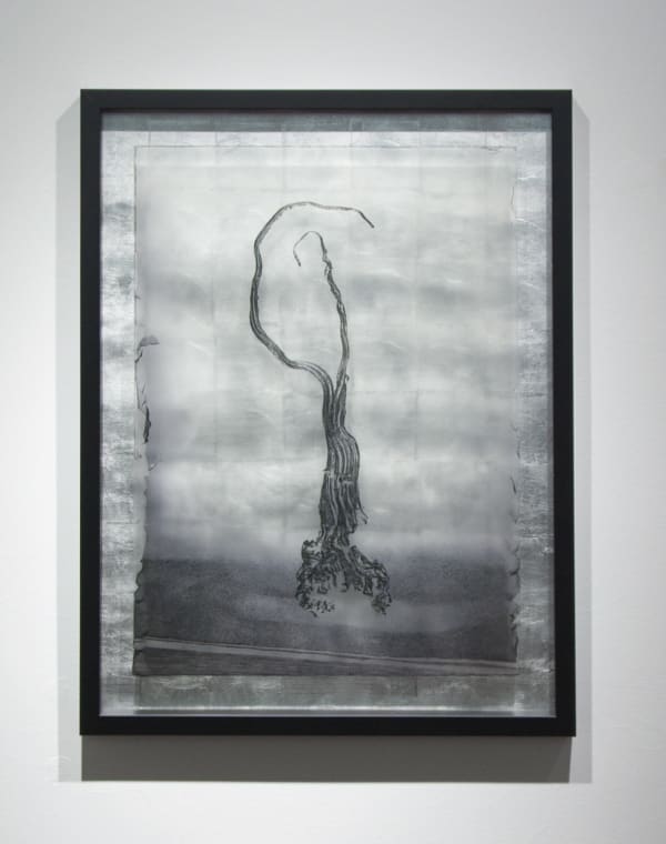Isabelle Le Minh, Silver, after Alfred Ehrhard , 2019
