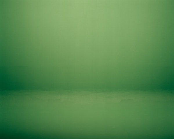 Nightlights, 2012
