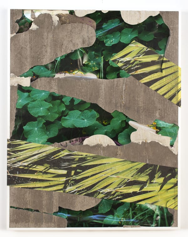 Hawaii Nevada Flora Concrete Bend, 2020