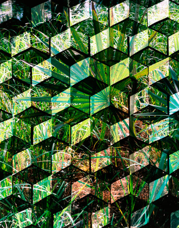 Hannah WHITAKER Jean Lafitte 1 Photographie 128,3 x 101,6 cm 50.5 x 40 inches