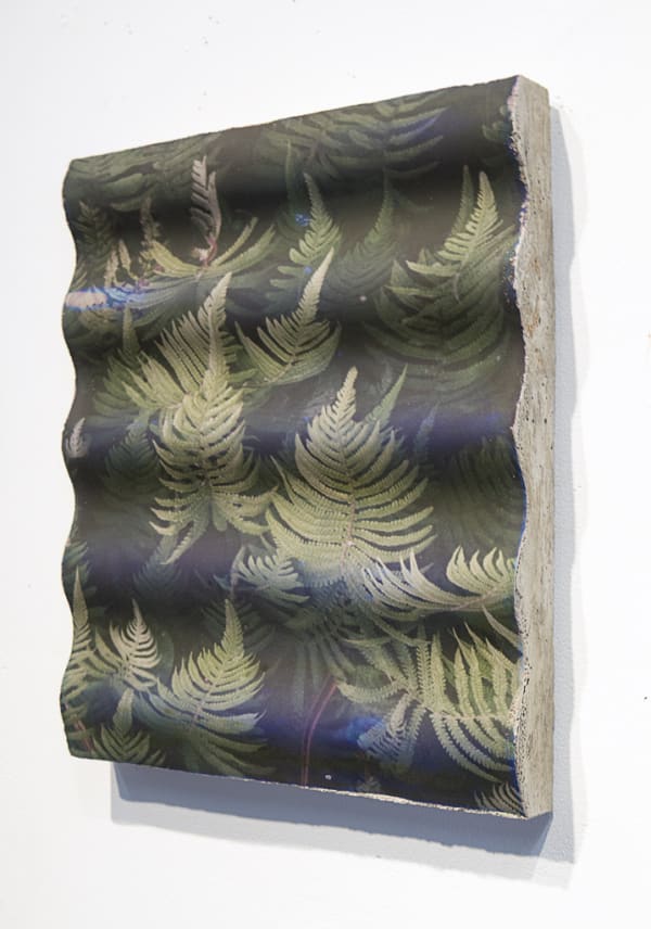 Kauai Ferns Concrete Wave, 2014