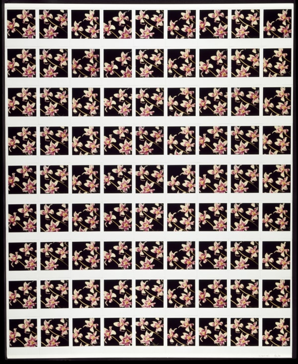 UNGLEE Sans titre Photographie 97,3 x 79,3 cm 38 5/16 x 31 5/16 inches