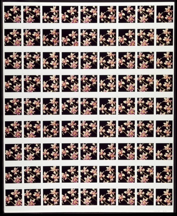 Unglee, Sans titre, 24 avril 1983