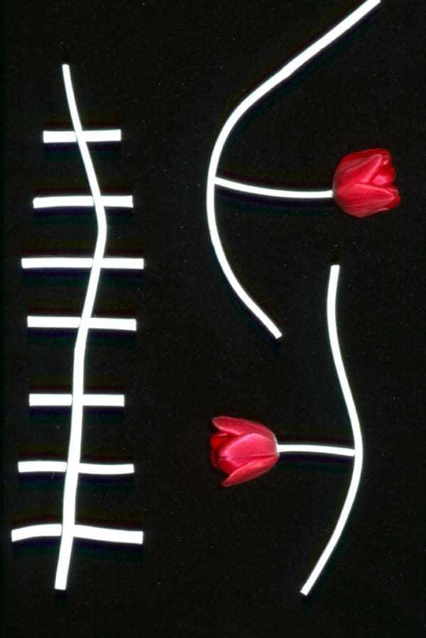 UNGLEE Éludienne-19 avril Photographie 60 x 50 cm; 80 x 60 cm (passe-partout)