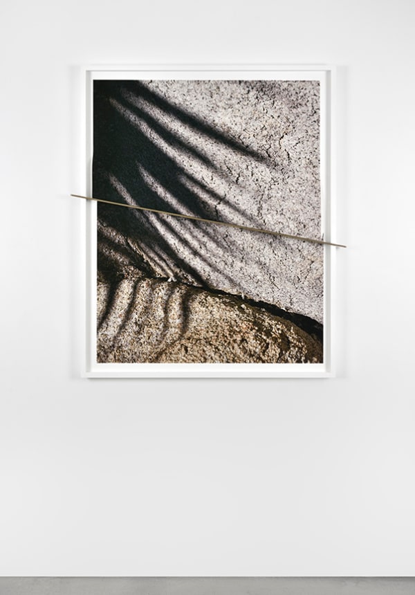 Joshua Tree Bronze Push (Shadows Half Split), 2016