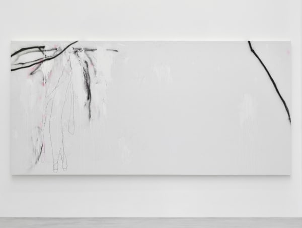 Méduse 9, 2017