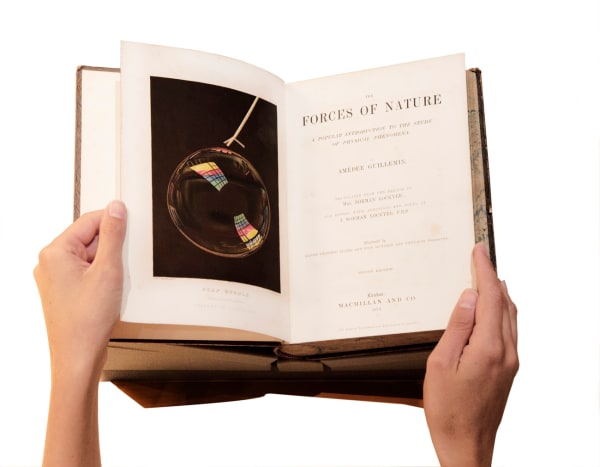 Marina Gadonneix, Untitled (Forces of Nature), 2016