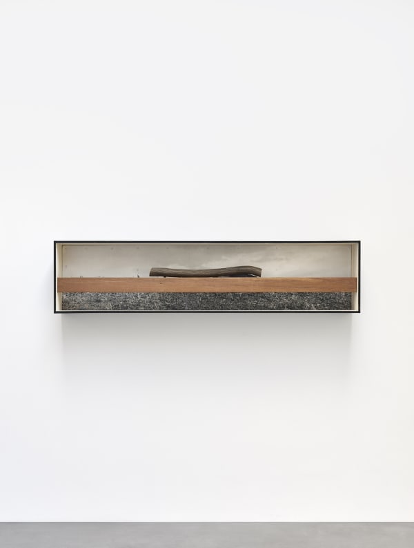 Masaki Nakayama, Identification, 1978
