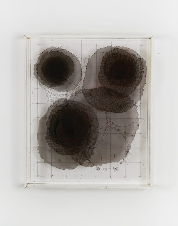 Simon Hehemann Tiefdruck, 2020 Draht, oxidiertes Kupfergewebe, Mohn und Faden 61 x 51 x 10 cm