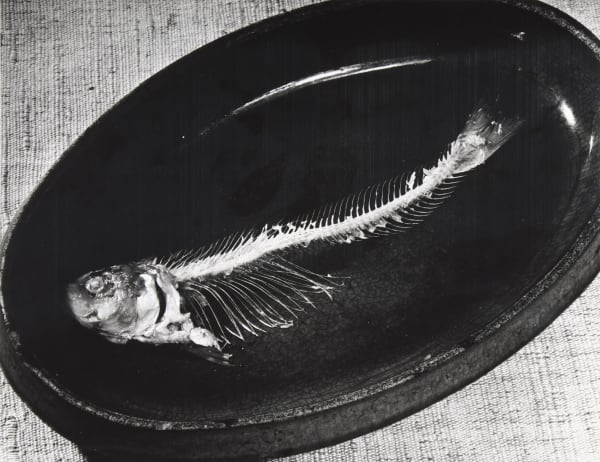 Poisson