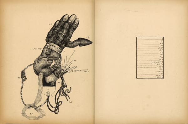 Aïcha Snoussi, Anticodexxx, 2017