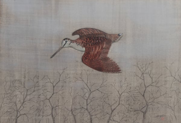 Yves de Coëtlogon - Bécasse en vol