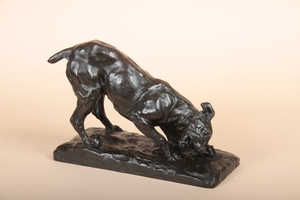 Louis de Monard - Chien Fox terrier rongeant son os, 1907