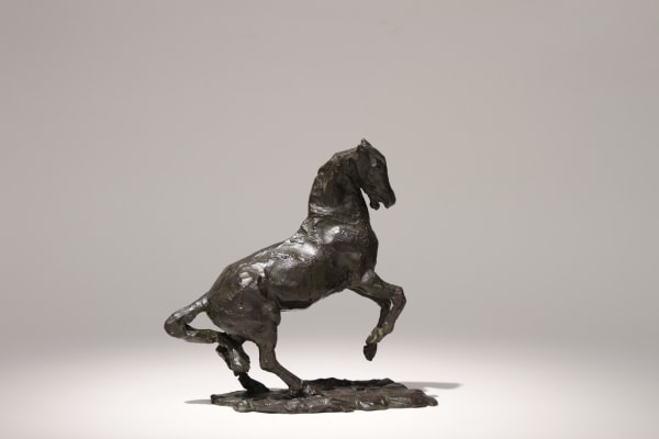 Louis de Monard, Petit cheval cabré