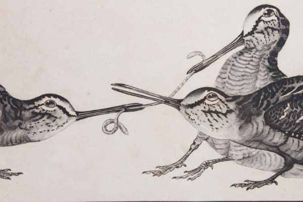 Paul Marcueyz, Bécasses se disputant un ver