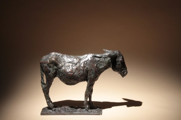 Roch Vandromme, Capucine (Âne), 2007