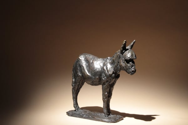 Roch Vandromme, Toupie (Âne), 2007