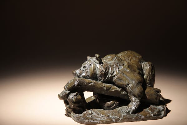 Roch Vandromme, Le Bienheureux (Ours), 2012