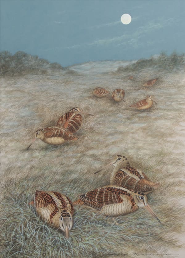 Pierre Roussia - Bécasses au clair de lune