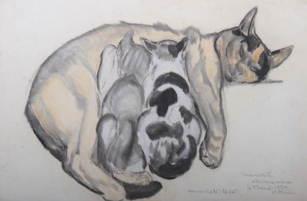 Paul Jouve - Chatte et ses petits, 1953