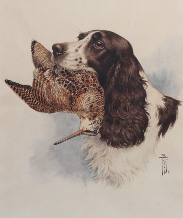 Boris Riabouchinsky, Spaniel à la bécasse