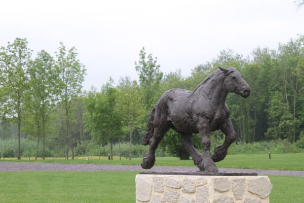 Roch Vandromme, Le Postier (Cheval de trait) , 2019