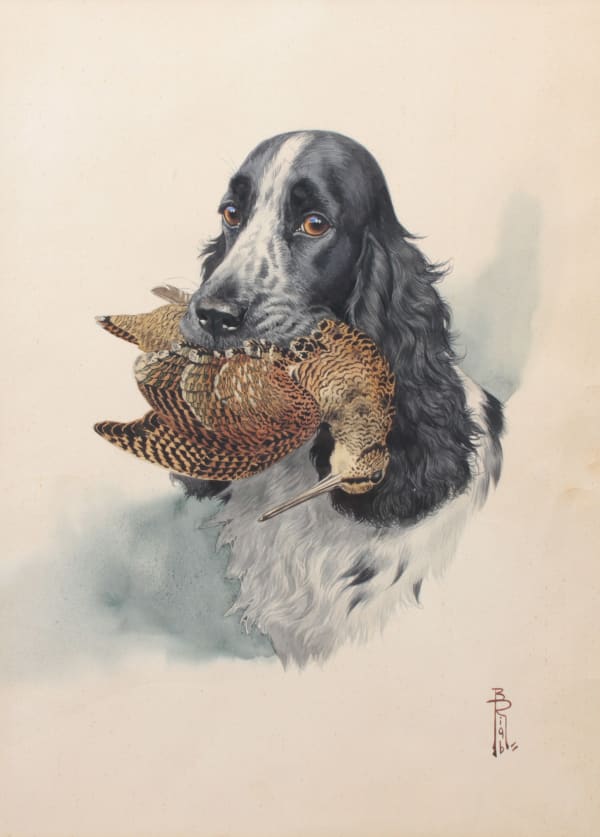 Boris Riabouchinsky, Cocker à la bécasse