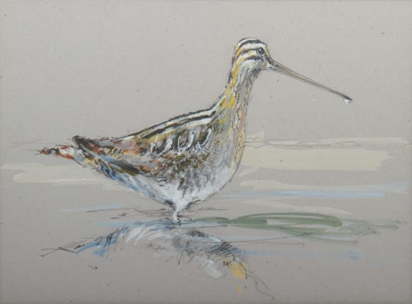 Patrice Bac, Bécassine