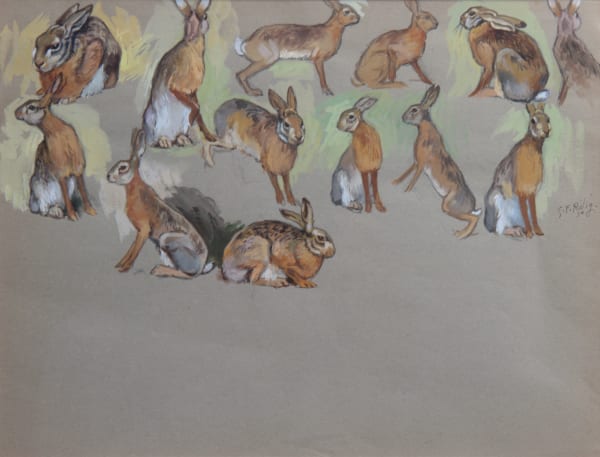 Georges Frédéric Rötig, Etude de lièvre, 1930