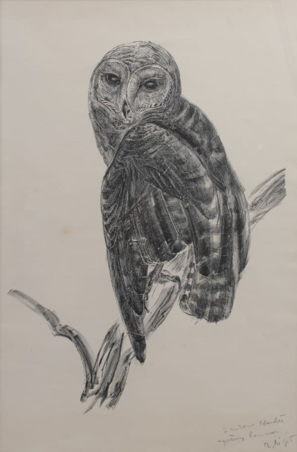 Raymond Bigot - Chouette