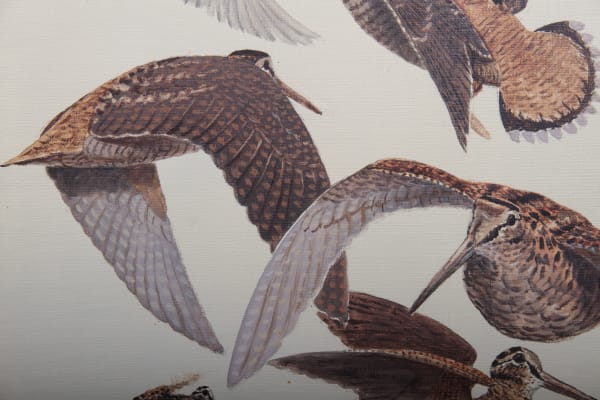 François Lebert - Etude de bécasses