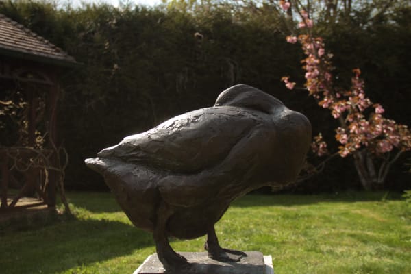 Roch Vandromme, Oie en boule, 1985