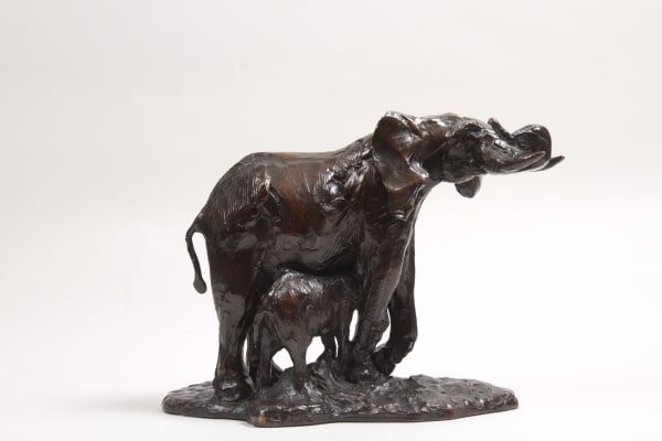 Edouard Navellier - Elephante et son petit