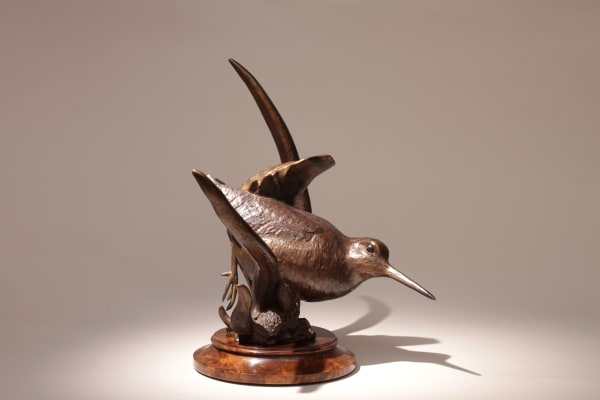 Dany Continsouzas, Belle des bois (Bécasse)